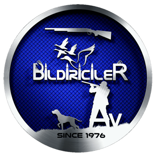 Bildiriciler Av Bayii